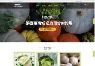 上海商城网站